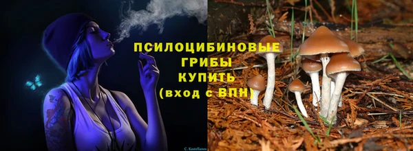 спайс Алексеевка